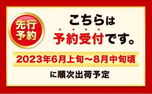 和歌山の桃 2kg 紀のファーム 《2024年6月上旬-8月中旬頃出荷》 和歌山