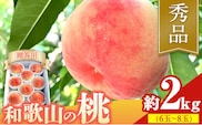 【贈答用】 秀品 和歌山の桃 約2kg (6玉~8玉) m&n果実園 【配送不可地域あり】 《6月中旬-7月下旬頃出荷》和歌山県 紀の川市 モモ 桃 もも 旬 白鳳 日川白鳳 なつっこ 果物 フルーツ 贈り物 ギフト---wsk_cmnk3_k6_23_13000_2kg---