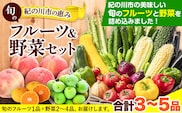 紀の川市の恵み 旬のフルーツ＆野菜セット 計3～5品《30日以内に出荷予定(土日祝除く)》和歌山県 紀の川市 フルーツ 果物 野菜 セット 桃 梅 みかん 新玉ねぎ なす トマト キャベツ---wfn_cwlocal68_30d_25_11000_3h5h---