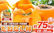 【先行予約】たねなし柿（刀根早生柿・平核無柿）約7.5kg（28～36玉前後） 《2026年9月中旬-11月上旬頃出荷》 和歌山県 紀の川市 種なし柿 産地直送 柿 果物 フルーツ 2L～Mサイズ カキ---wfn_wlocal79_9c11j_25_16000_75---