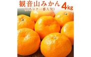 【先行予約】観音山みかん(とろコク一番人気) 4kg 有限会社柑香園《11月中旬-1月下旬頃出荷》和歌山県 紀の川市 フルーツ 果物 柑橘 みかん---wsk_kke61_11c1g_25_23000_4kg---