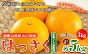 【先行予約】【訳あり/ご家庭用】はっさく 八朔 4kg＋1kg  計約5kg サンファーム《1月上旬-3月末頃より出荷予定》和歌山県 紀の川市 ご家庭用---wsk_saf8_1j3m_25_7000_5kg---