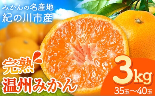 【先行予約】完熟 温州みかん 約3kg (35~40玉) こだまファーム《2025年10月中旬-2026年2月中旬頃出荷》 和歌山県 紀の川市 みかん ミカン 果物 フルーツ---wsk_kdf8_10c2c_25_8500_3kg---