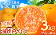 【先行予約】完熟 温州みかん 約3kg (35~40玉) こだまファーム《2025年10月中旬-2026年2月中旬頃出荷》 和歌山県 紀の川市 みかん ミカン 果物 フルーツ---wsk_kdf8_10c2c_25_8500_3kg---