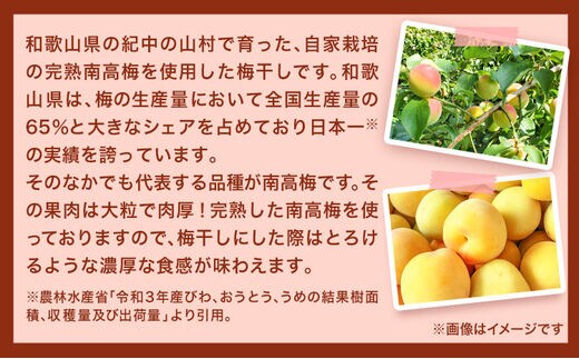 紀州南高梅使用はちみつうす塩味完熟梅干し1kg(無選別） 紀の川市厳選