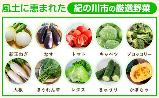 3ヶ月定期便】紀の川市の恵み 旬のフルーツ＆野菜セット 計8~10品《お