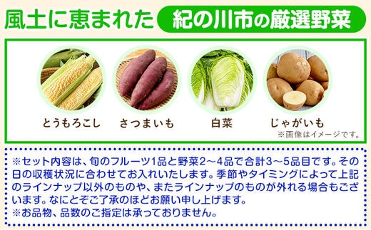 紀の川市の恵み 旬のフルーツ＆野菜セット 計3～5品《30日以内に順次