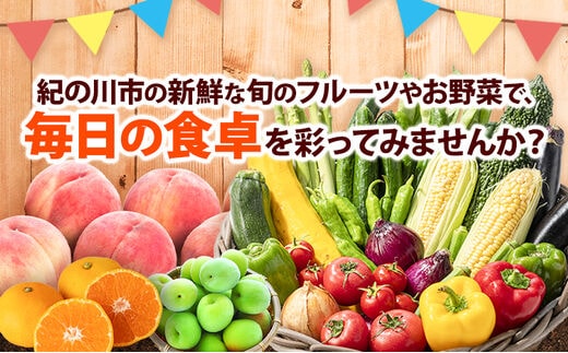 3ヶ月定期便】紀の川市の恵み 旬のフルーツ＆野菜セット 計8~10品《お