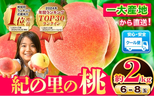 【先行予約】和歌山県産紀の里の桃 もも 桃 約2kg 《2026年6月中旬-8月中旬頃出荷》 紀の里の桃 6～8玉入り 旬の桃を厳選 あかつき モモ 果物 フルーツ あかつき 白鳳 日川白鳳 八旗白鳳 清水白桃 川中島白桃 つきあかり---wfn_cwlocal127_6c8c_25_13000_2kg---
