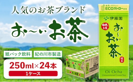 紀の川市産 紙パック飲料 おーいお茶 250ml×24本 1ケース 株式会社伊藤園 《30日以内に出荷予定(土日祝除く)》 和歌山県 紀の川市 お茶 おーいお茶 緑茶 日本茶 送料無料---wsk_ite8_30d_24_10000_24p---