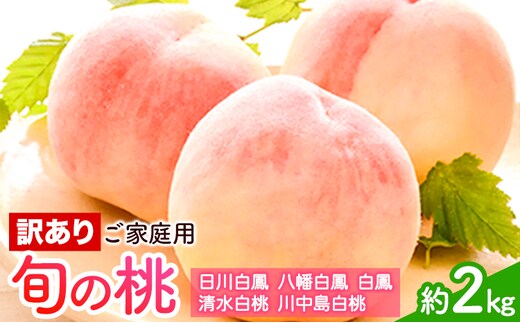 訳あり 和歌山の桃 約2kg (約6~9玉入) 岸武青果株式会社《2026年6月下旬-8月末頃出荷》 和歌山県 紀の川市 桃 ご家庭用 もも モモ 果物 フルーツ---wsk_ckst25_6g8m_25_13000_2kg---