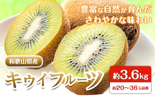 先行予約 和歌山県産 キウイフルーツ 約3.6kg 約20玉～36玉前後 前商店《2026年2月上旬-3月末出荷》キウイ キウイフルーツ フルーツ スイーツ 果物 送料無料---wsk_mes18_2j3m_25_14000_20t---