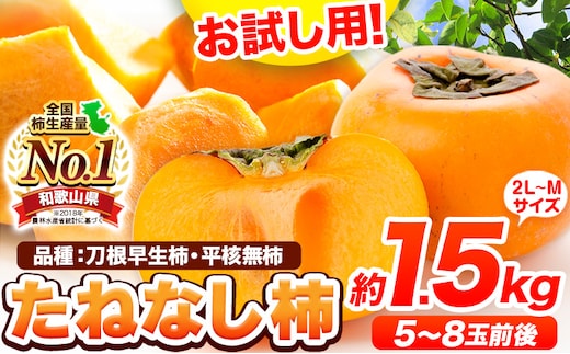 【先行予約】お試し用！ たねなし柿（刀根早生柿・平核無柿）約1.5kg（5～8玉前後） 《2026年9月中旬-11月上旬頃出荷》 和歌山県 紀の川市 種なし柿 産地直送 柿 果物 フルーツ 2L～Mサイズ カキ---wfn_wlocal76_9c11j_25_6000_15---