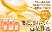 ほんまもん百花蜂蜜 1200g×6本 村上養蜂《90日以内に出荷予定(土日祝除く)》和歌山県 紀の川市---wsk_murayhh6_90d_21_89000_7200g---