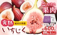 完熟いちじく 約600g (300g×2パック ) お試し パック いちじく イチジク 無花果 紀の里農業協同組合《2026年9月上旬-11月上旬頃出荷》 和歌山県 紀の川市 青果物 果物 くだもの フルーツ スイーツ---wsk_cjak24_9j10c_24_7000_600g---