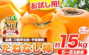【先行予約】お試し用！ たねなし柿（刀根早生柿・平核無柿）約1.5kg（5～8玉前後） 《2026年9月中旬-11月上旬頃出荷》 和歌山県 紀の川市 種なし柿 産地直送 柿 果物 フルーツ 2L～Mサイズ カキ---wfn_wlocal76_9c11j_25_6000_15---