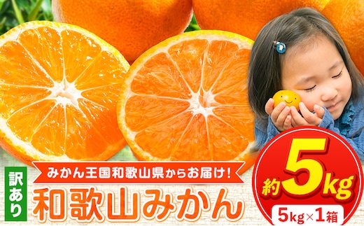 【訳あり/サイズ不選別】 和歌山みかん 約5kg 和歌山県産 《2026年11月中旬-1月中旬頃出荷》たっぷり ご家庭用 2L～2S 産地直送 みかん 旬 蜜柑 ミカン 柑橘 果物 フルーツ 和歌山県 紀の川市---wfn_wlocal89_11c1c_25_7000_5kg---｜みかん 早生みかん 極早生みかん 中生みかん 晩生みかん