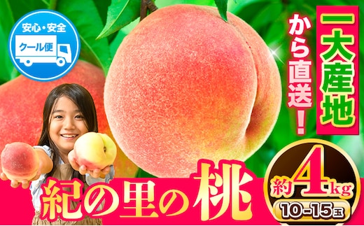 【2027年先行予約】和歌山県産紀の里の桃 約4kg 《2027年6月中旬-8月中旬頃出荷》10-15玉入り 旬の桃を厳選 あかつき 桃 もも モモ 果物 フルーツ 白鳳 日川白鳳 八旗白鳳 清水白桃 川中島白桃 つきあかり なつおとめ---wfn_cwlocal253_6c8c_26_24000_4kg---