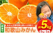 【訳あり/サイズ不選別】 和歌山みかん 約5kg 和歌山県産 《2025年11月中旬-1月中旬頃出荷》たっぷり ご家庭用 2L～2S 産地直送 みかん 旬 蜜柑 ミカン 柑橘 果物 フルーツ 和歌山県 紀の川市---wfn_wlocal89_11c1c_25_7000_5kg---｜みかん 早生みかん  極早生みかん 中生みかん 晩生みかん