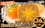 ＜先行予約＞紀の川市産 黒あま 種なし 約3.6kg（11～15玉前後）4L～2Lサイズ《2026年10月中旬-11月末頃出荷》和歌山県 紀の川市 たねなし柿 くろあま 高級 産地直送 かき 柿 カキ 果物 フルーツ---wfn_wlocal82_10c11m_25_15000_36---
