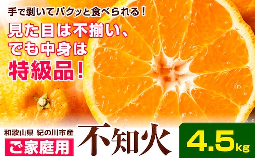ご家庭用 不知火 約4.5kg 《2027年2月下旬-2027年4月中旬頃出荷》たっぷり しらぬい ご家庭用 柑橘 柑橘類 ミカン 蜜柑 果物 フルーツ 和歌山県 紀の川市 甘い ジューシー デコポン と同品種 しらぬい 訳あり 規格外 訳あり 傷---wfn_wlocal221_2g4c_26_10000_4500---