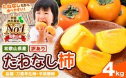 【ご家庭用/訳あり】たねなし柿 約4kg《2026年9月中旬-11月上旬頃より出荷予定》 和歌山県 紀の川市 柿 カキ かき ジューシー フルーツ---wfn_wlocal63_9c11j_25_7500_4kg---
