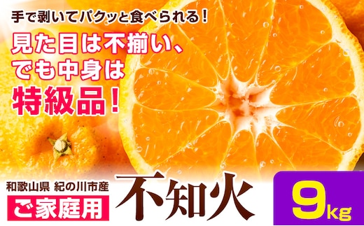 ご家庭用 不知火 約9kg 《2027年2月下旬-2027年4月中旬頃出荷》たっぷり しらぬい ご家庭用 柑橘 柑橘類 ミカン 蜜柑 果物 フルーツ 和歌山県 紀の川市 甘い ジューシー デコポン と同品種 しらぬい 訳あり 規格外 訳あり 傷---wfn_wlocal222_2g4c_26_18500_9500---