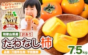【ご家庭用/訳あり】たねなし柿 約7.5kg《2026年9月中旬-11月上旬頃より出荷予定》 和歌山県 紀の川市 柿 カキ かき ジューシー フルーツ---wfn_wlocal64_9c11j_25_10000_64---