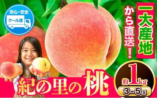 桃 もも【2026年先行予約】和歌山県産 紀の里の桃 約1kg (3-5玉入り)《6月中旬-8月中旬頃出荷》 桃 2026年 先行 桃 先行予約2026 もも2026 白鳳 日川白鳳 八旗白鳳 清水白桃 川中島白桃 つきあかり もも 白鳳 先行予約 もも川中島 もも2026 もも 白鳳 先行予約 もも 先行予約 もも 和歌山 もも---wfn_cwlocal70_6c8c_25_8000_1kg---