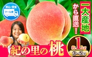 桃 もも【2026年先行予約】和歌山県産 紀の里の桃 約1kg (3-5玉入り)《6月中旬-8月中旬頃出荷》 桃 2026年 先行 桃 先行予約2026 もも2026 白鳳 日川白鳳 八旗白鳳 清水白桃 川中島白桃 つきあかり もも 白鳳 先行予約 もも川中島 もも2026 もも 白鳳 先行予約 もも 先行予約 もも 和歌山 もも---wfn_cwlocal70_6c8c_25_8000_1kg---