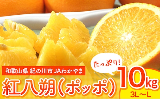 【先行予約】紅八朔(ポッポ) 10kg(3L-L) JAわかやま 紀の里地域本部 《2026年3月中旬-3月末頃出荷》 和歌山県 紀の川市 果物 フルーツ 柑橘 はっさく---wsk_jak18_3c3m_24_15000_10kg---