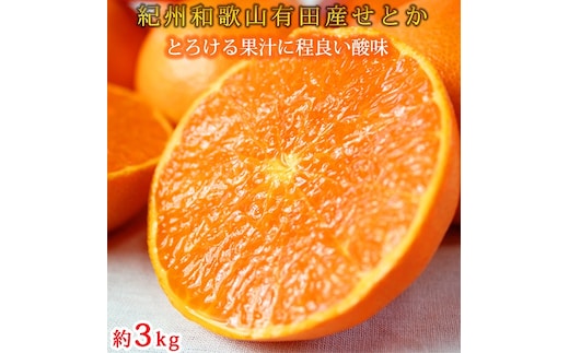 紀州有田産せとか約3kg とろける食感！ジューシー柑橘［2026年2月下旬以降発送］［先行予約］［UT03］