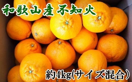 和歌山県産不知火約4kg（サイズ混合）★2026年2月下旬頃より順次発送［TM130］