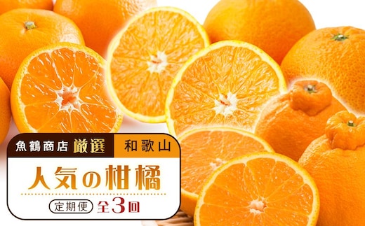 ［魚鶴商店厳選］和歌山人気の柑橘定期便（有田みかん・不知火・清見オレンジ）［定期便全3回］［UT116］