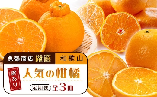 ［魚鶴商店厳選］和歌山人気の柑橘ご家庭用・訳あり定期便（みかん・不知火・清見オレンジ）［定期便全3回］［UT117］