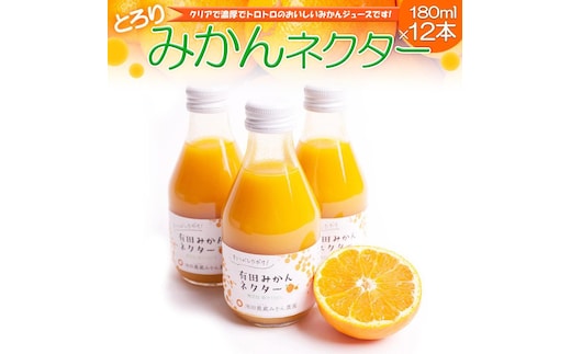 とろり みかんネクター180ml×12本［IKE232］