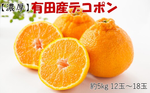 ［お味濃厚］紀州有田産の大玉デコポン約5kg(12玉～18玉入り・青秀以上) ★2026年１月中旬頃より順次発送［TM25］