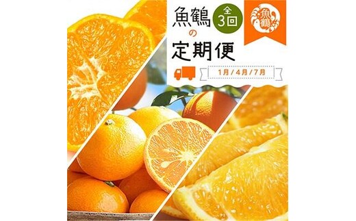 【1・4・7月 全3回】紀州和歌山産旬のフルーツセット（みかん・なつみ・バレンシア）【UT82】