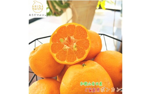 有田育ちの 完熟 ポンカン（ご家庭用）約5kg［先行予約］［MS45］