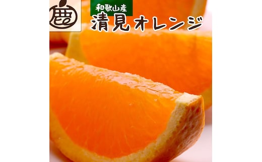 ［先行予約］厳選 清見オレンジ2.5kg+250g（傷み補償分）［光センサー食頃出荷］［樹上完熟きよみオレンジ・清見タンゴール・清美］［IKE146］