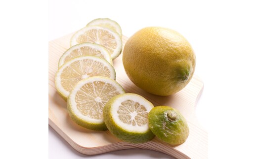 レモン5kg+250g（傷み補償分）【和歌山有田産】【防腐剤・WAX不使用、安心の国産レモン】［IKE129］