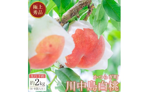 先行予約！［モモ］川中島白桃 約2kg 6～8個入［2026年7月末頃から順次発送］［秀品］こだわり農家厳選 ［KG13］