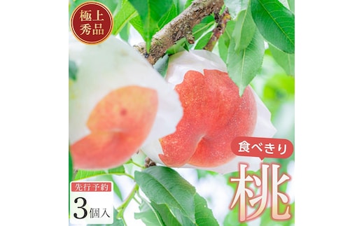 桃 極上秀品 食べきりやすい3個入［先行予約］［2026年7月末から8月末順次発送］こだわり農家厳選！［KG18］