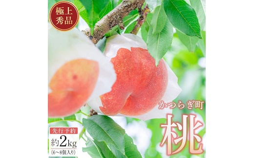 桃 極上秀品 約2kg 6～8個入［先行予約］［2026年7月末から8月末順次発送］こだわり農家厳選［KG19］