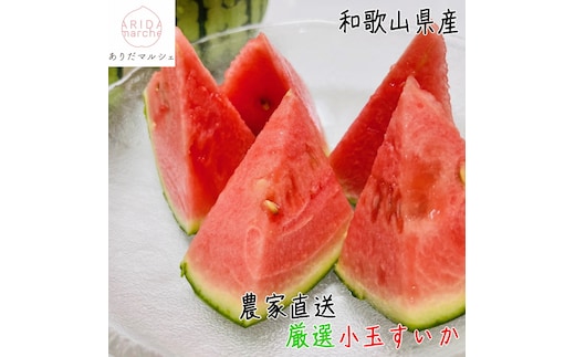 ［先行予約］厳選 小玉すいか Ｍサイズ／１玉入り［農家直送］［先行予約］［和歌山県産］［MS126］
