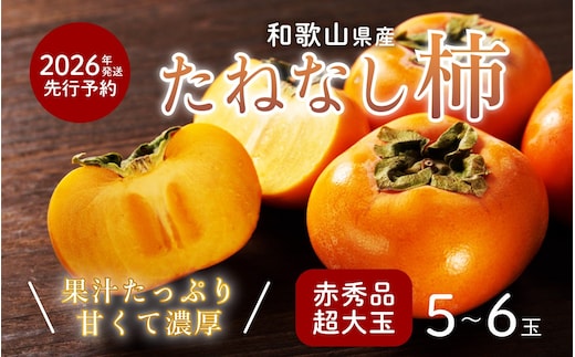 柿 種無し 赤秀品 超大玉 1.8kg 5～6個 ［先行予約］［2026年9月末頃から発送］［KG4］