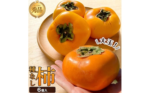 柿(種無し) 6個入 秀品大玉［2026年9月末頃より発送］［KT1］