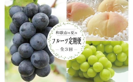 定期便全3回 【7月・8月・9月発送】 和歌山のフルーツをお届け（桃・たねなしピオーネ・シャインマスカット）【TM180】