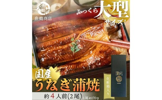 大型サイズ ふっくら柔らか 国産うなぎ蒲焼き 2尾 化粧箱入［夏土用の丑の日のうなぎ］［～7月26日までにお届け］［UT05］