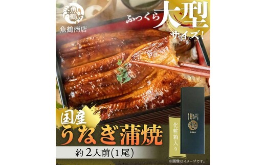 大型サイズ ふっくら柔らか 国産うなぎ蒲焼き 1尾（約2人前）化粧箱入［夏土用の丑の日のうなぎ］［～7月26日までにお届け］［UT04］